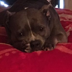 Meet your Posher, Raina